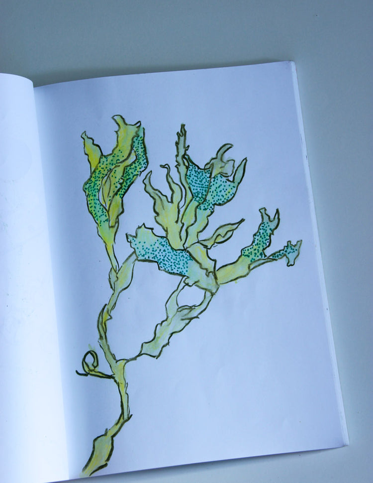 Carnet de croquis Mixed media