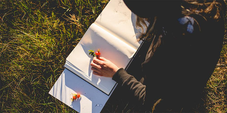 Pascale Faubert dessine dans un carnet, dans l’herbe