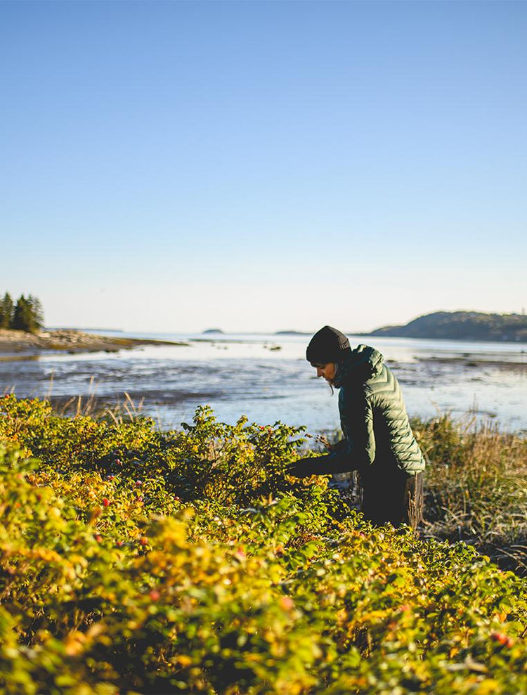 Pascale Faubert observe la végétation au bord du fleuve