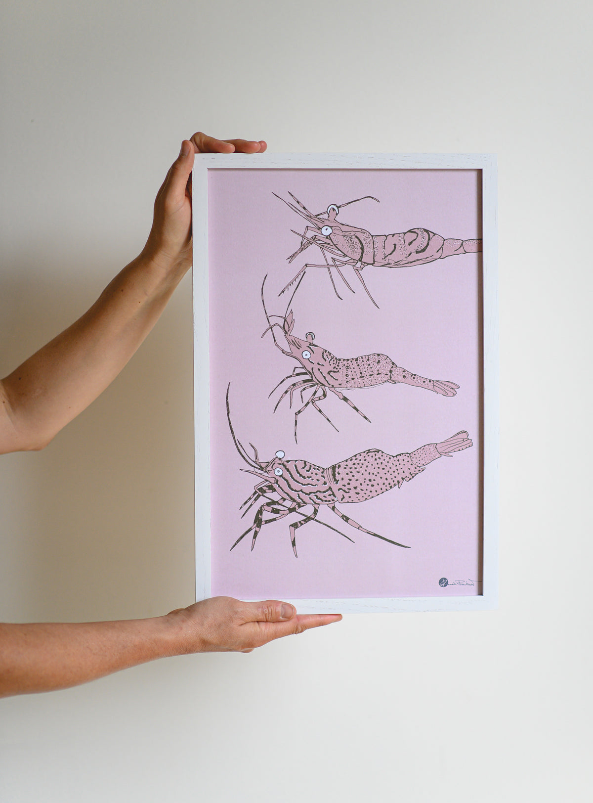Affiche maritime de crevettes nordiques du Saint-Laurent