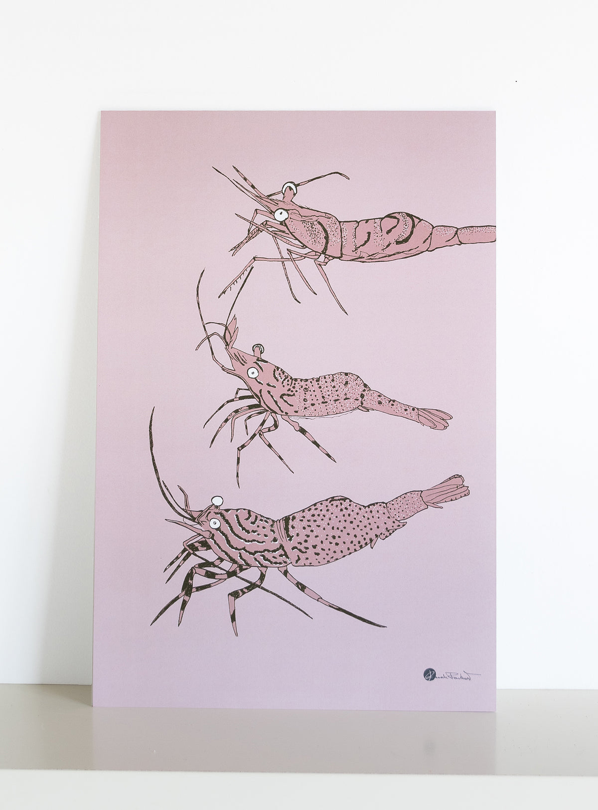 Collection d'affiches maritimes faune et flore marine du Saint-Laurent