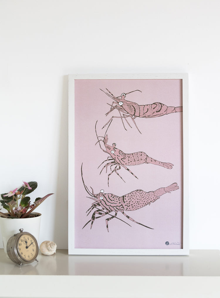 Affiche maritime de crevettes nordiques du Saint-Laurent