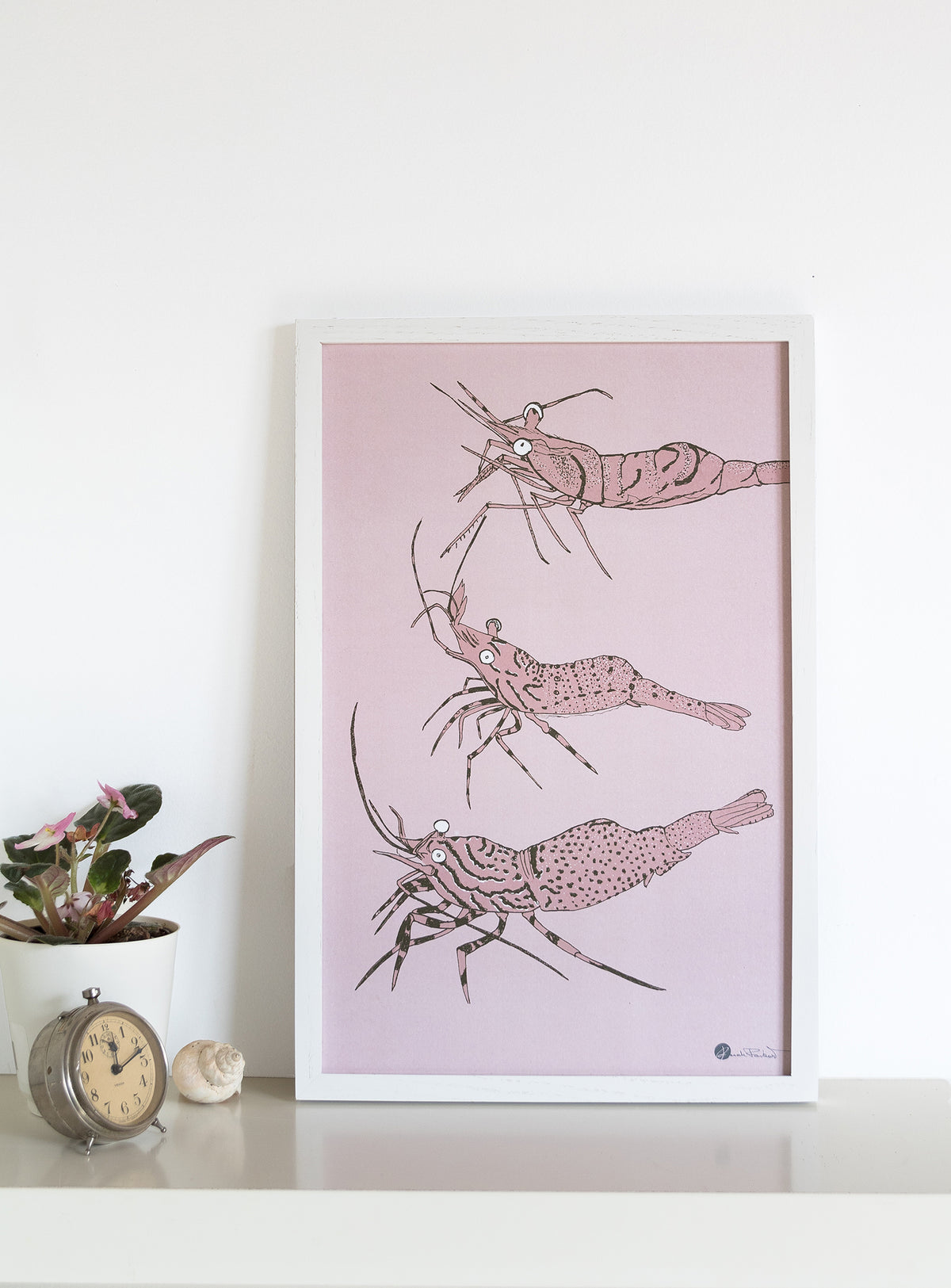 Collection d'affiches maritimes faune et flore marine du Saint-Laurent